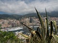 View from behind cactus plant of harbor, Monaco architectures, cloudy sky and mountain