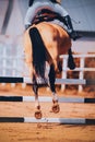 A view from behind of a horse with a rider in the saddle jumping over a barrier at an equestrian competition. Horsemanship,