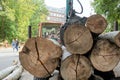 View from behind of a pile of large logs loaded on the loading area of a trailer for removal Royalty Free Stock Photo