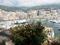 View from behind plants of harbor, Monaco architectures, cloudy sky and mountain