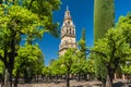 View of the bell tower of the Cathedral Mezquita-Cathedral from the Orange Courtyard Patio de los naranjos in Cordoba, Spain