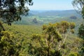 View from Bellbird Lookout in Lamington National Park, Australia
