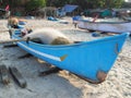 A view from below of an old battered blue wooden fishing boat standing on a sandy beach. There is a fishing net in the boat Royalty Free Stock Photo