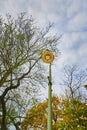View from below of an old Berlin street lamp in front of a tree with autumn leaves Royalty Free Stock Photo