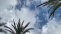 a view from below of the palm trees and the blue sky with clouds. gyration