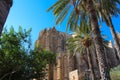 View from below through the palm trees of the Lala Mustafa Pasha Mosque former St. Nicholas Cathedral. Famagusta. Cyprus Royalty Free Stock Photo