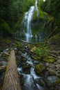 View from below Proxy Falls in Willamette Forest, Oregon Royalty Free Stock Photo