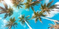 View from below on tropical palms on sunny summer day with blue sky.AI Generative Royalty Free Stock Photo