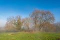 View of bench in a park during a foggy winter day in Italy Royalty Free Stock Photo