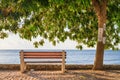 View of a bench on the promenade overlooking the sea and pasted traditional bulgarian obituaries, Nessebar town on the Black Sea c