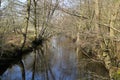 View beyond bare trees on river Schwalm in spring, Germany, BrÃÂ¼ggen Royalty Free Stock Photo