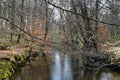 View beyond bare trees on river Schwalm in spring, Germany, BrÃÂ¼ggen Royalty Free Stock Photo