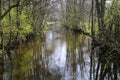 View beyond bare trees on river Schwalm in spring, Germany, BrÃÂ¼ggen Royalty Free Stock Photo