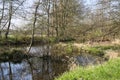 View beyond bare trees on river Schwalm in spring, Germany, BrÃÂ¼ggen