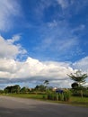 a view of big and fluffy clouds with blue sky and many trees in front my house Royalty Free Stock Photo