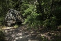 View of big rock and path through mountain forest Royalty Free Stock Photo