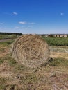 View of big round hay bale on the field, road and sky Royalty Free Stock Photo