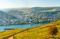 View of Bingen am Rhein from Rudesheim vineyards in the Rhine Valley, Germany Royalty Free Stock Photo