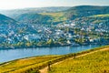 View of Bingen am Rhein from Rudesheim vineyards in the Rhine Valley, Germany Royalty Free Stock Photo