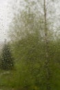 View on birch and spruce through window with raindrops Royalty Free Stock Photo