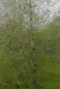 View of birch through window with raindrops Royalty Free Stock Photo