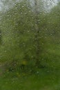 View of birch through window with raindrops Royalty Free Stock Photo