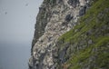 View on the bird cliffs of Runde during summer time. Cliffs with green grass and rocks,. Royalty Free Stock Photo