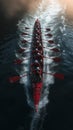 view Birds eye of rowing team, displaying flawless synchronization