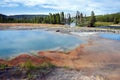 View of the Biscuit Basin of the Yellowstone National Park, Wyoming, USA