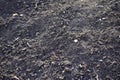 View of black fertile soil soil close up during the day Royalty Free Stock Photo