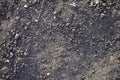 View of black fertile soil soil close up during the day Royalty Free Stock Photo