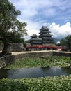 View of the black wooden Matsumoto Castle in Japan