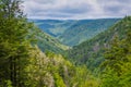 A view of the Blackwater Canyon, at Blackwater Falls State Park, West Virginia Royalty Free Stock Photo