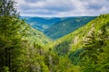 A view of the Blackwater Canyon, at Blackwater Falls State Park, West Virginia Royalty Free Stock Photo