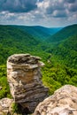 View of the Blackwater Canyon from Lindy Point, Blackwater Falls Royalty Free Stock Photo