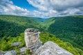 View of the Blackwater Canyon from Lindy Point, at Blackwater Falls State Park, West Virginia Royalty Free Stock Photo