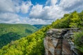 View of the Blackwater Canyon from Lindy Point, at Blackwater Falls State Park, West Virginia Royalty Free Stock Photo