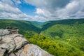 View of the Blackwater Canyon from Lindy Point, at Blackwater Falls State Park, West Virginia Royalty Free Stock Photo