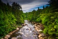 View of the Blackwater River from a bridge at Blackwater Falls S