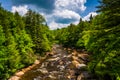 View of the Blackwater River from a bridge at Blackwater Falls S