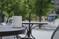 A blank white coffee mug on the park tables Royalty Free Stock Photo