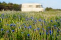 View of blooming meadow with the large mobile home on background. Family vacation travel RV. Travel and adventure. Go everywhere