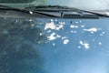 View at blue color car hood with damaged paint with cracks and peeling scratched spots