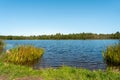 View of the blue lake and clear autumn sky. The shore of the reservoir with a patch of yellow green tall grass. The horizon of