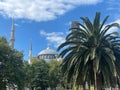 The view of Blue Mosque in Istanbul, Bosphor, Turkiye Royalty Free Stock Photo