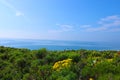 View of blue ocean and a lush green hillside with yellow flowers and a blue sky Royalty Free Stock Photo