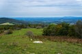 An Autumn View of the Blue Ridge Mountain Meadow