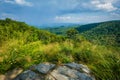 View of the Blue Ridge Mountains from Skyline Drive in Shenandoah National Park, Virginia. Royalty Free Stock Photo