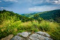 View of the Blue Ridge Mountains from Skyline Drive in Shenandoah National Park, Virginia. Royalty Free Stock Photo