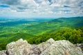 View of the Blue Ridge Mountains from Turk Mountain in Shenandoah National Park, Virginia. Royalty Free Stock Photo